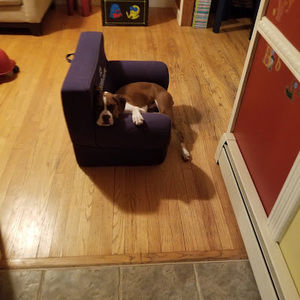 Meet your Posher, Brooke